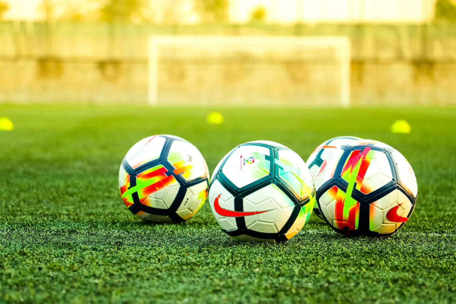 Futuro Campeão futebol socyte